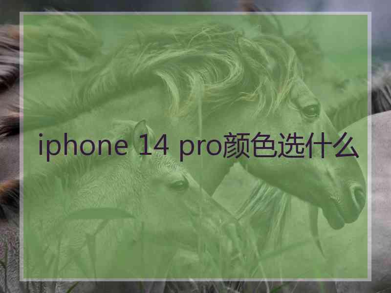 iphone 14 pro颜色选什么