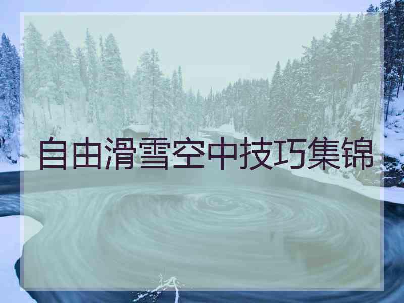 自由滑雪空中技巧集锦