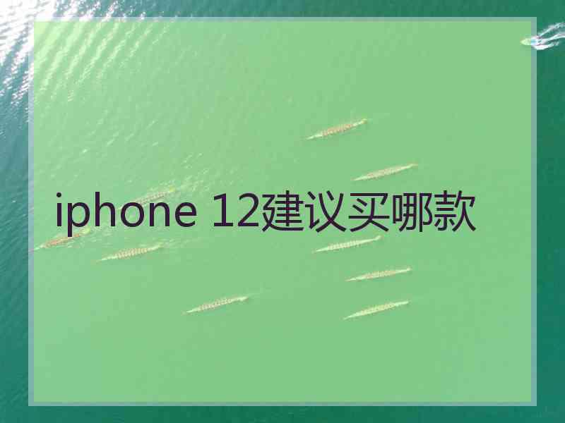 iphone 12建议买哪款