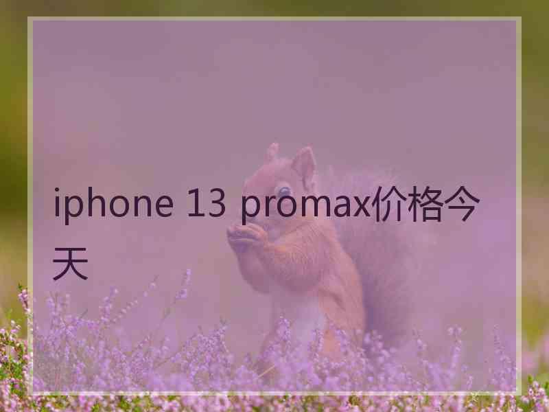 iphone 13 promax价格今天