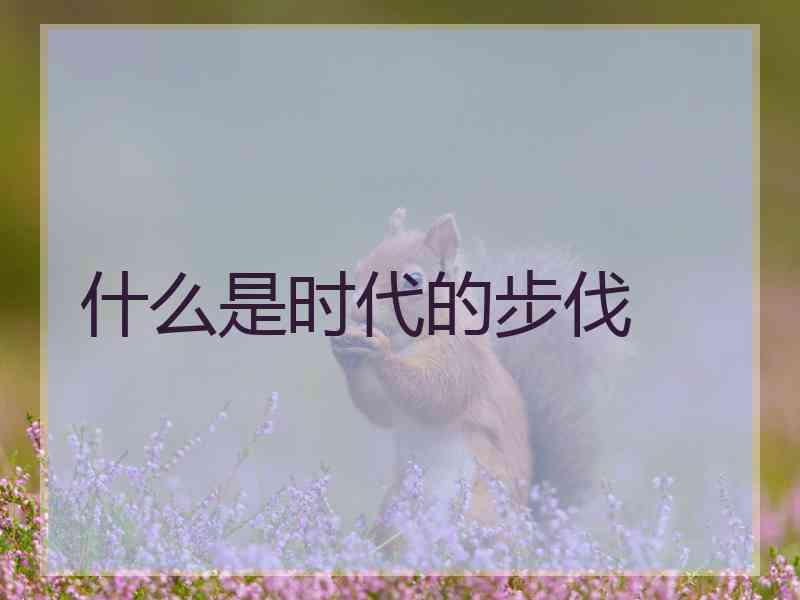 什么是时代的步伐