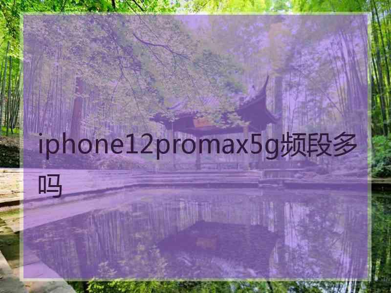 iphone12promax5g频段多吗