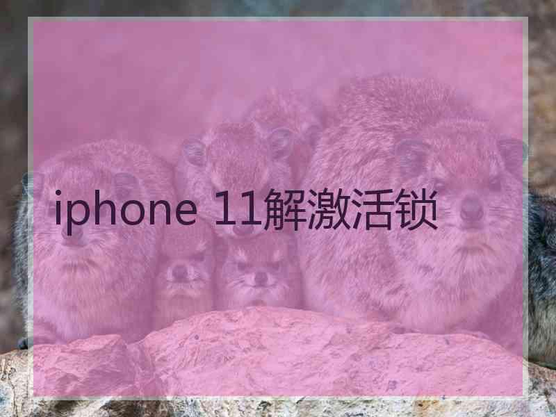 iphone 11解激活锁