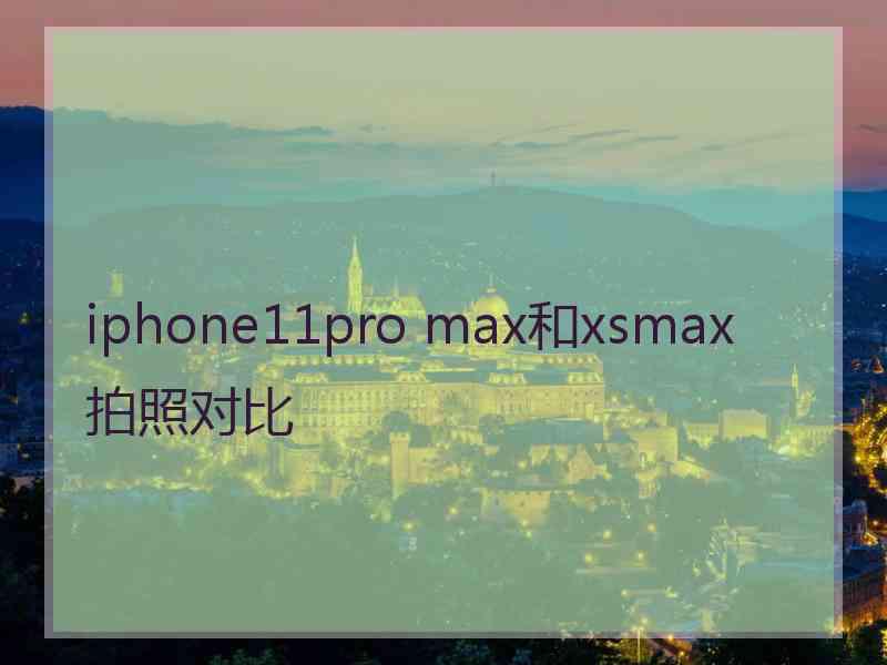 iphone11pro max和xsmax拍照对比