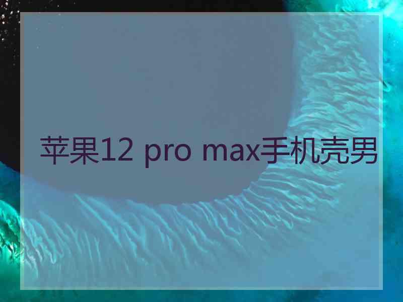 苹果12 pro max手机壳男