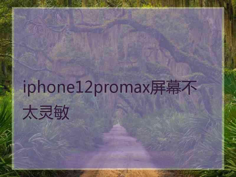 iphone12promax屏幕不太灵敏