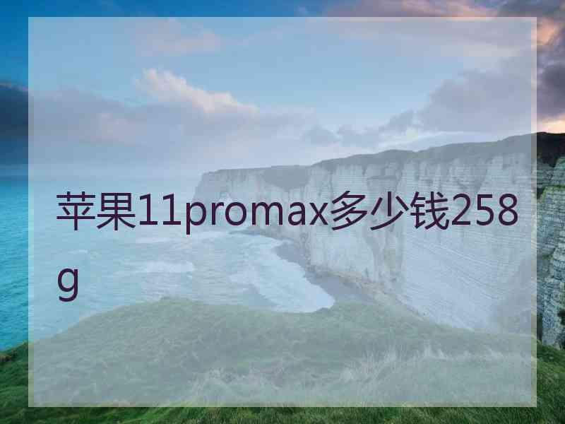 苹果11promax多少钱258g