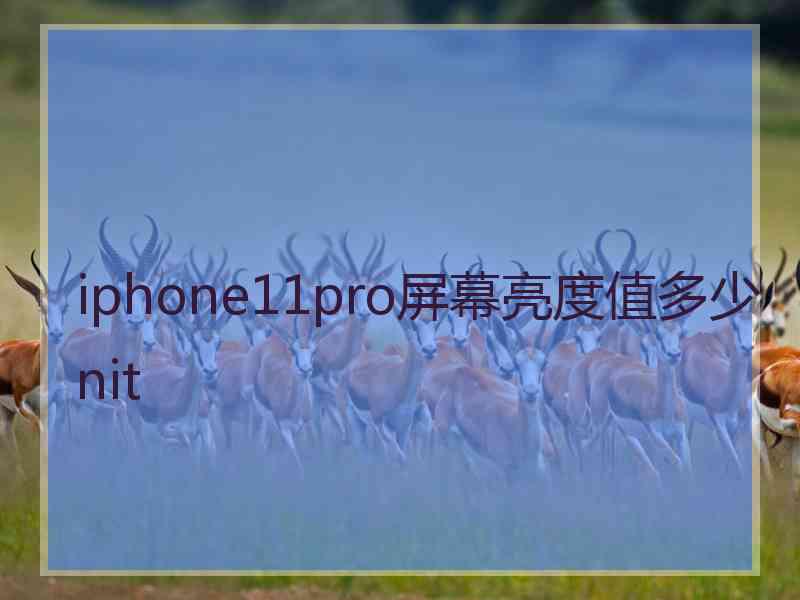 iphone11pro屏幕亮度值多少nit