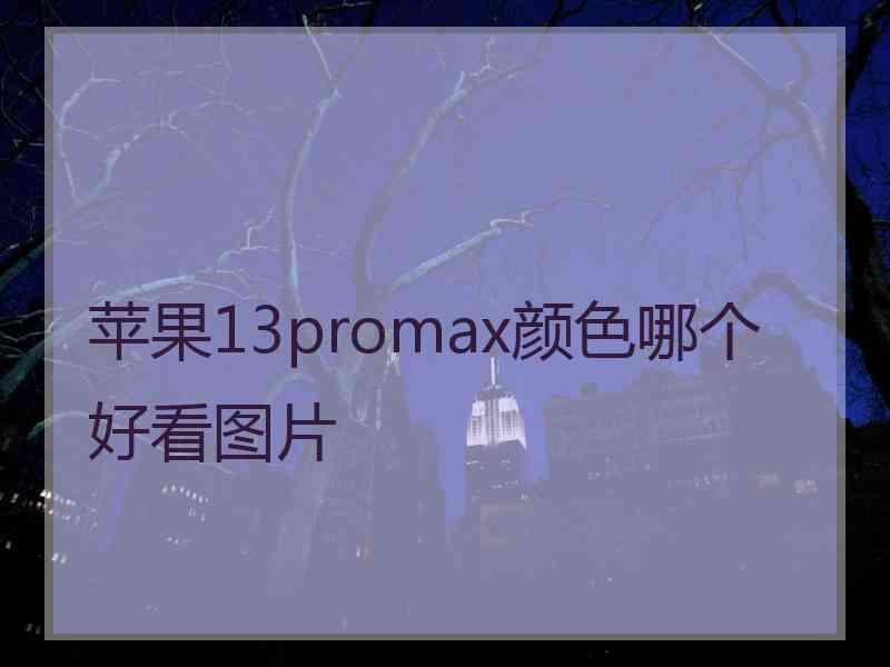 苹果13promax颜色哪个好看图片