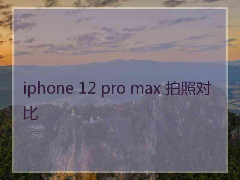 iphone 12 pro max 拍照对比