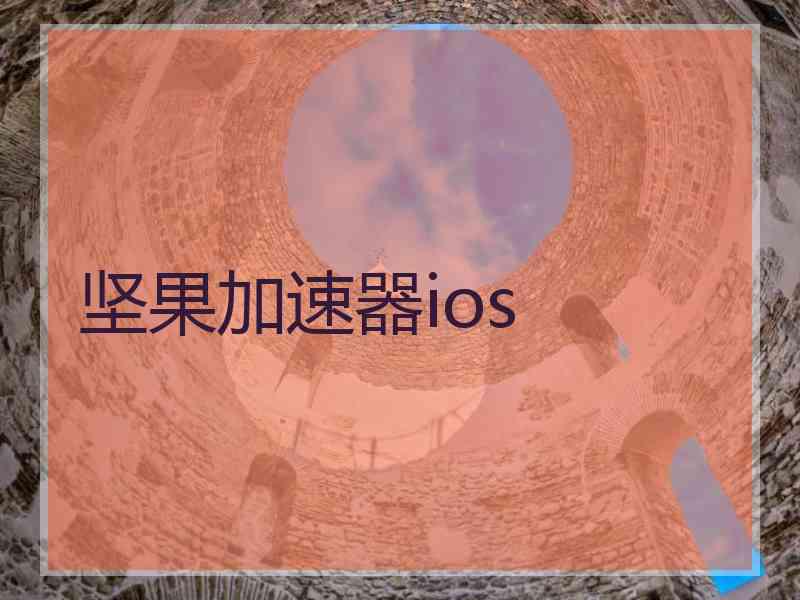 坚果加速器ios