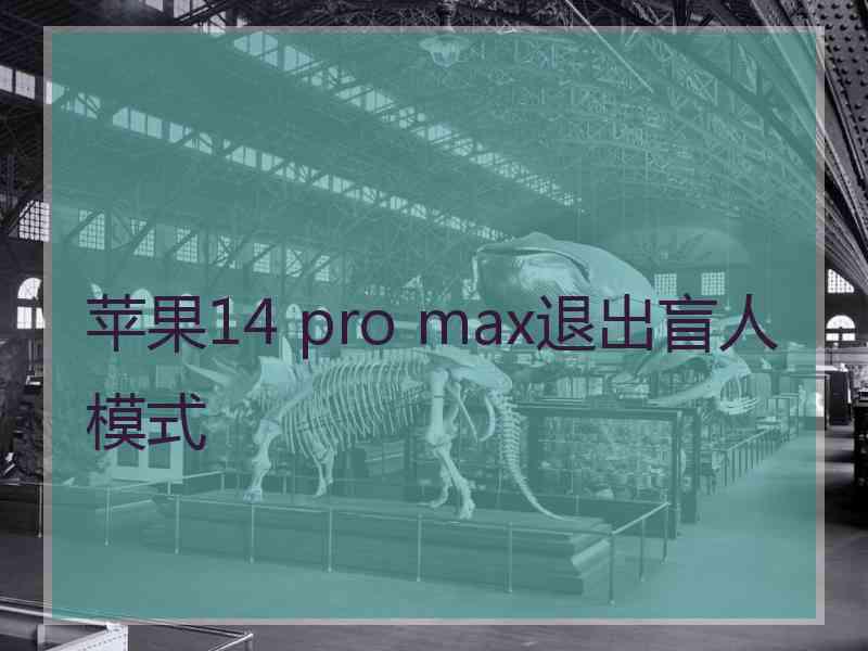 苹果14 pro max退出盲人模式