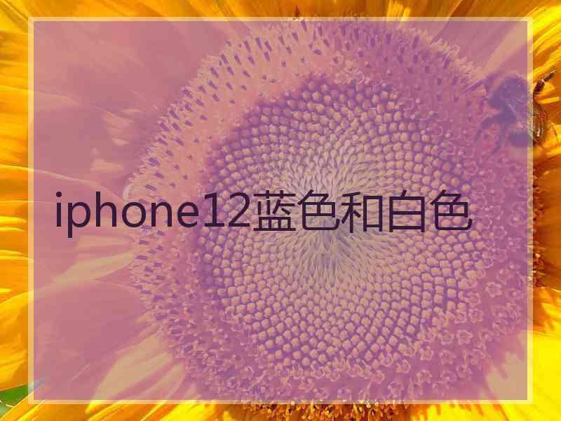 iphone12蓝色和白色