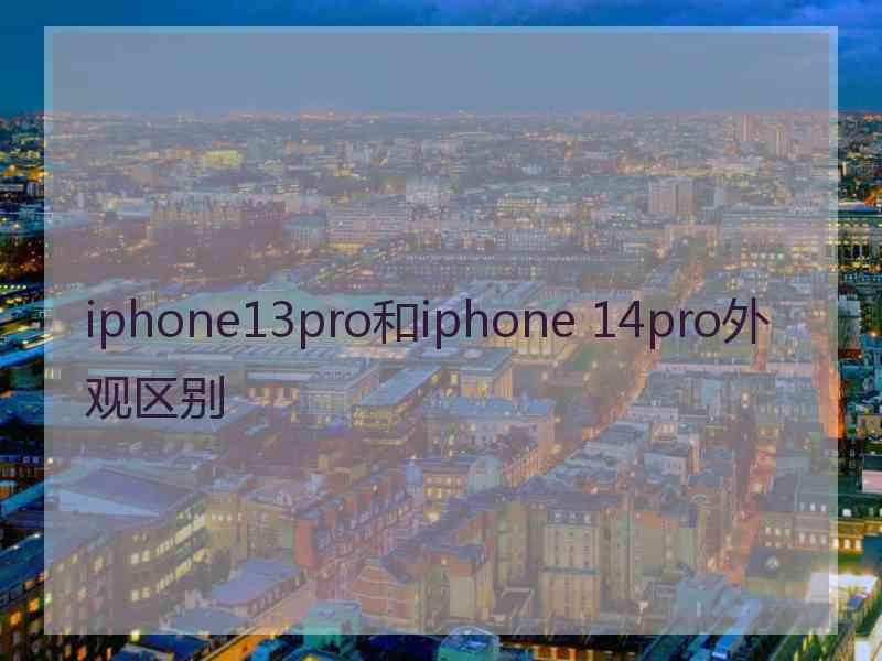 iphone13pro和iphone 14pro外观区别