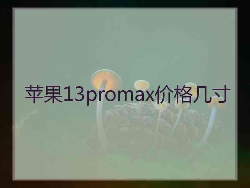 苹果13promax价格几寸