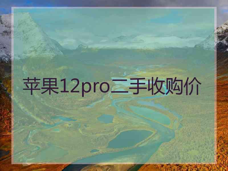 苹果12pro二手收购价