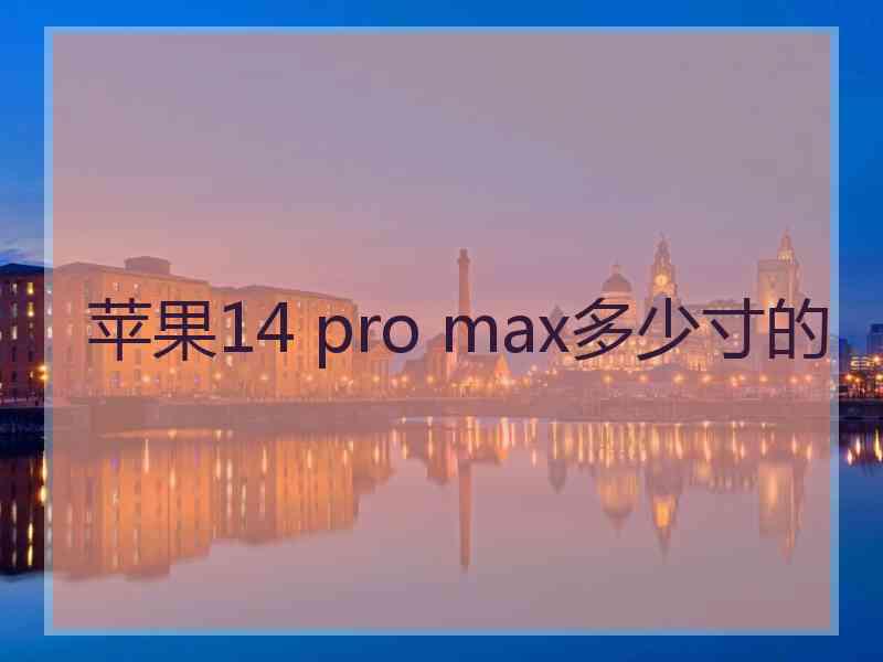 苹果14 pro max多少寸的