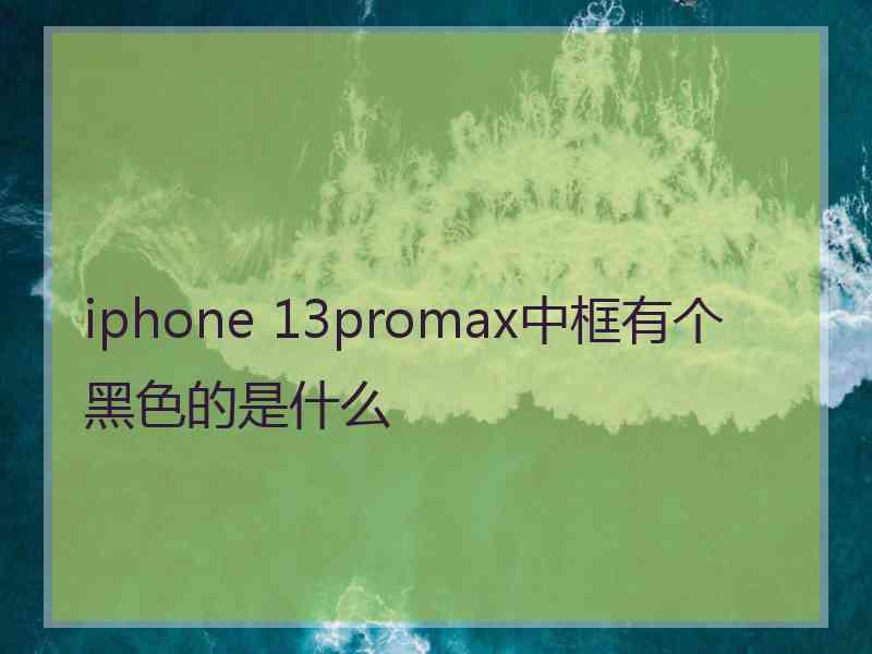 iphone 13promax中框有个黑色的是什么