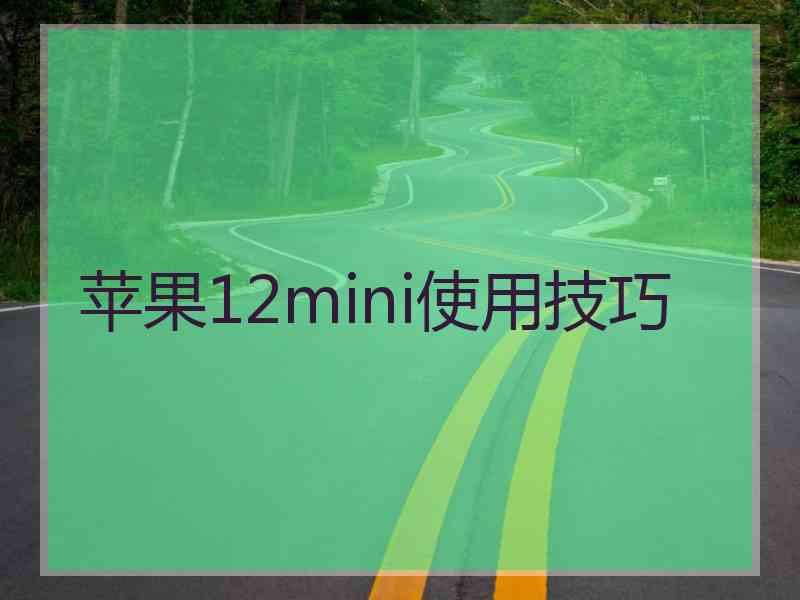 苹果12mini使用技巧