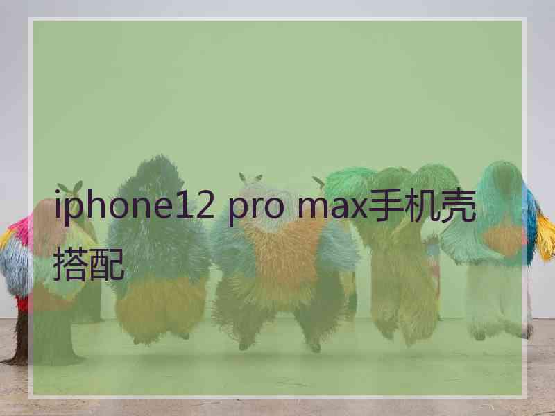 iphone12 pro max手机壳搭配