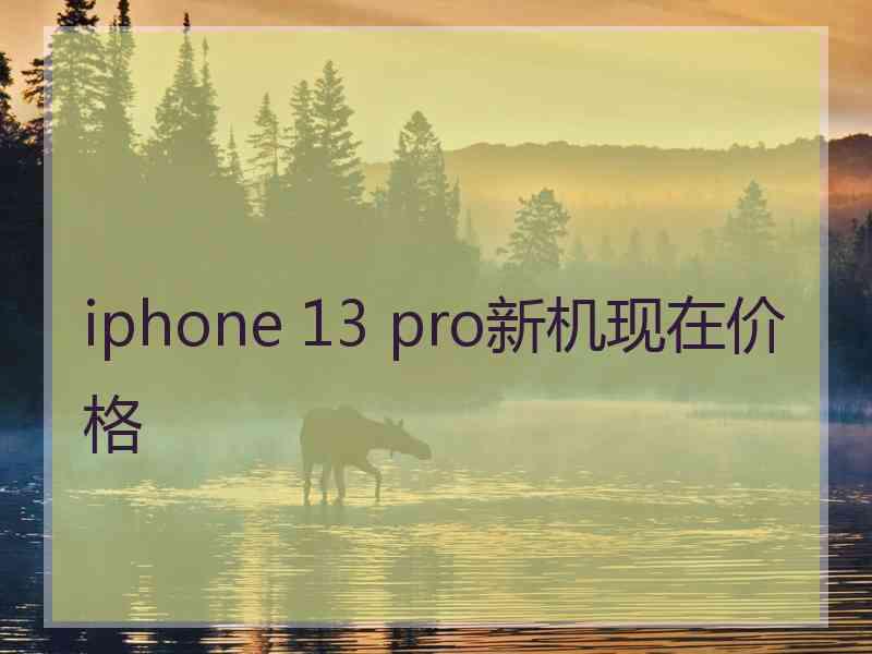 iphone 13 pro新机现在价格