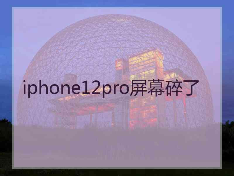 iphone12pro屏幕碎了