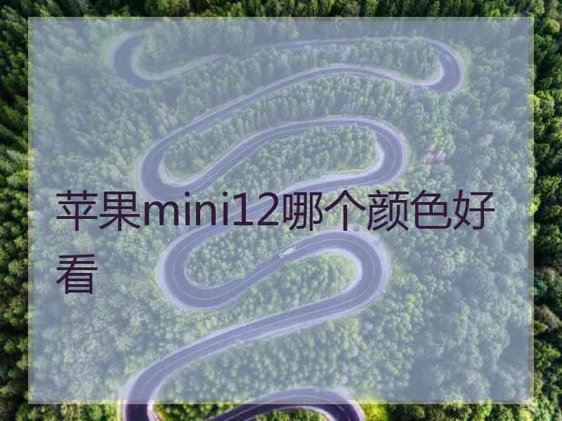 苹果mini12哪个颜色好看