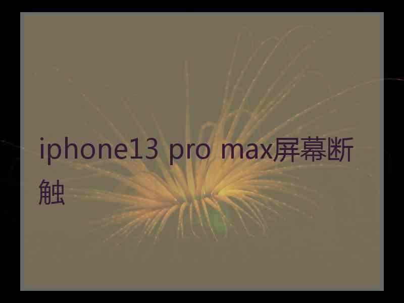 iphone13 pro max屏幕断触