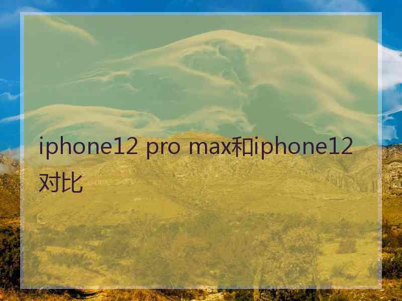 iphone12 pro max和iphone12对比