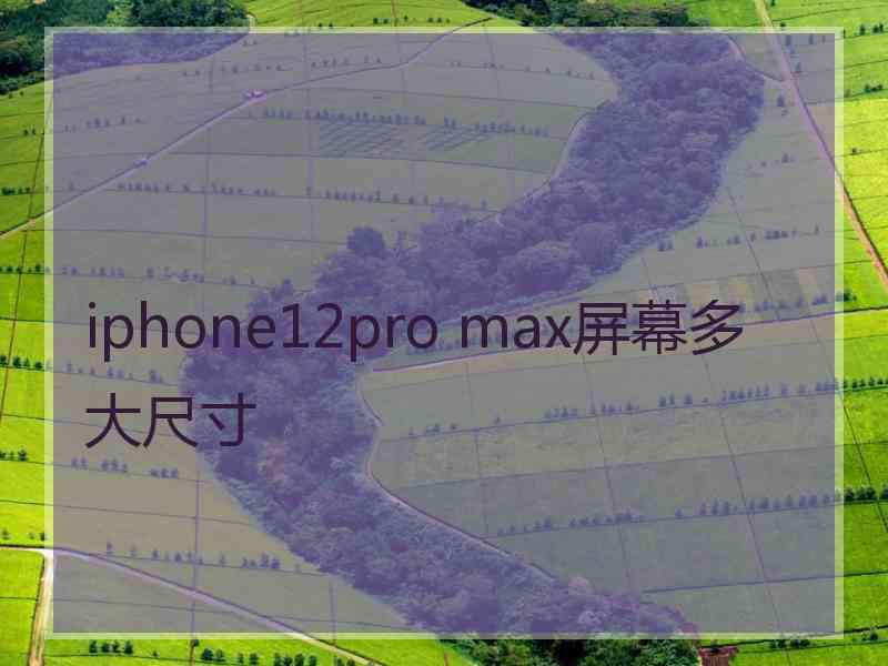 iphone12pro max屏幕多大尺寸