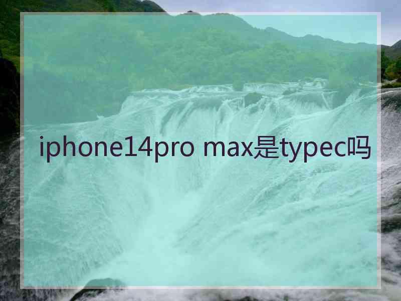 iphone14pro max是typec吗