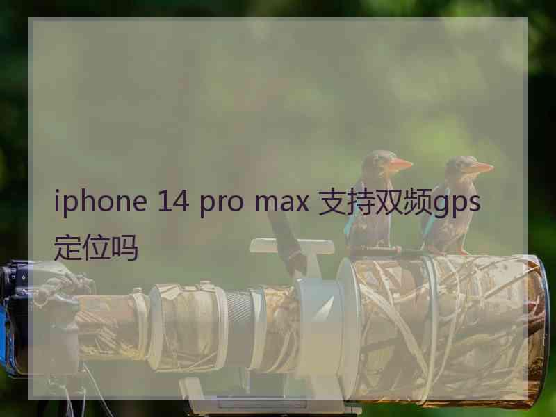 iphone 14 pro max 支持双频gps 定位吗