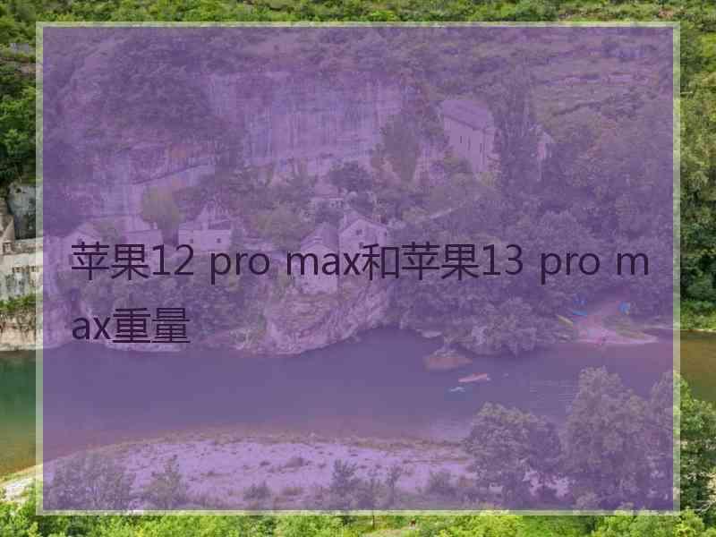 苹果12 pro max和苹果13 pro max重量