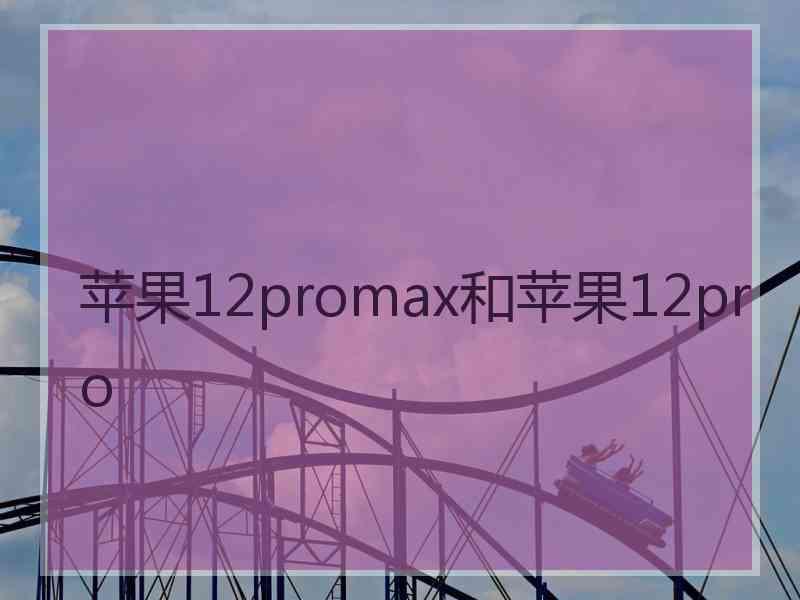 苹果12promax和苹果12pro