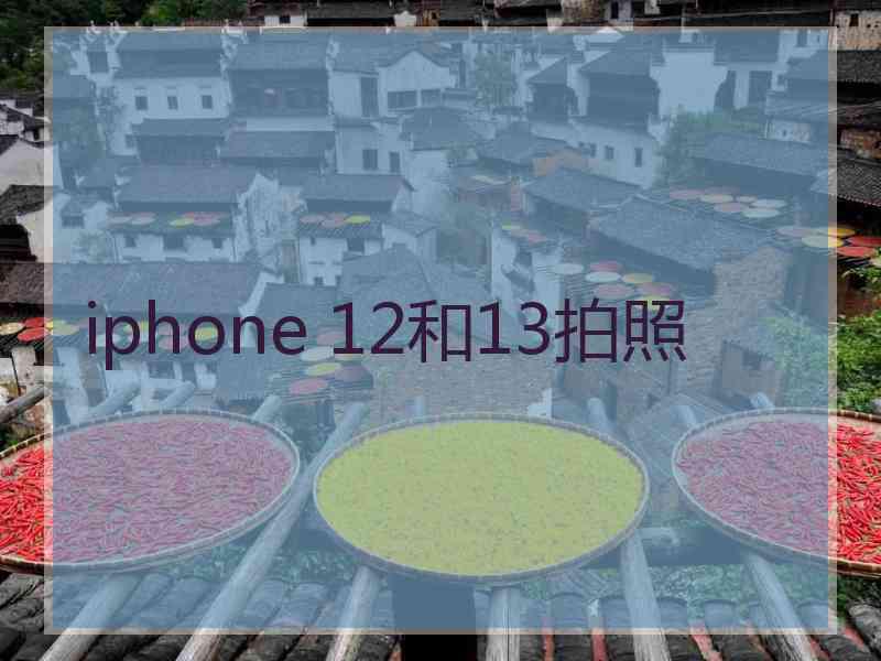 iphone 12和13拍照