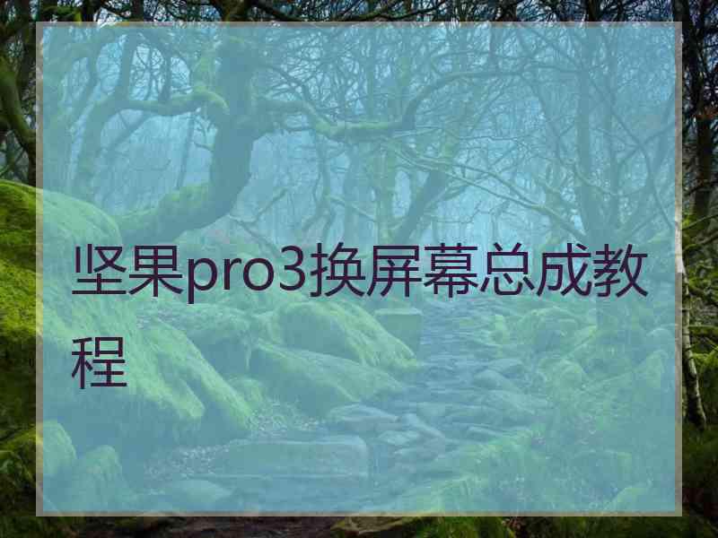 坚果pro3换屏幕总成教程