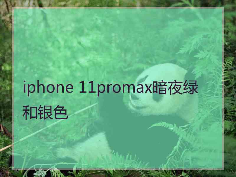 iphone 11promax暗夜绿和银色