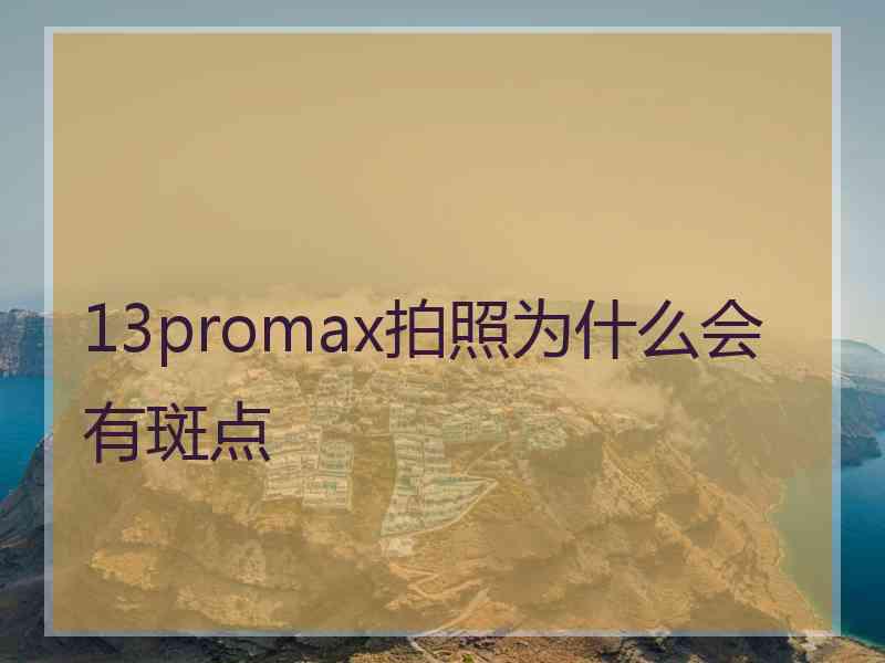 13promax拍照为什么会有斑点