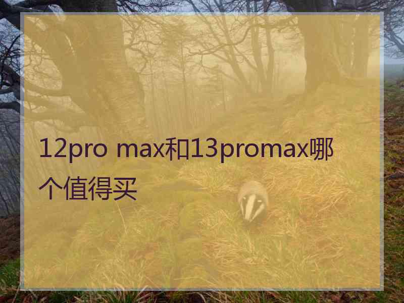 12pro max和13promax哪个值得买