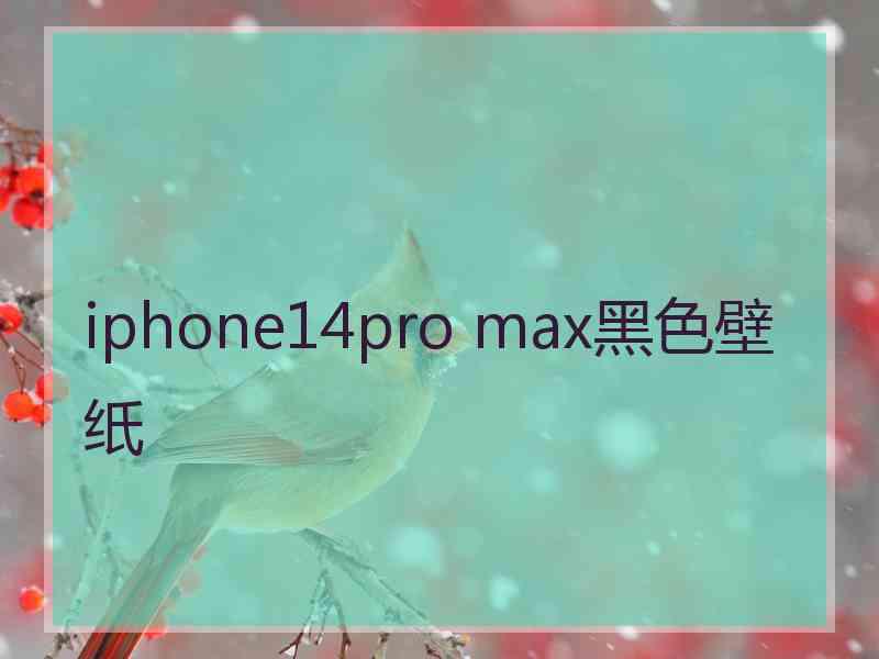 iphone14pro max黑色壁纸