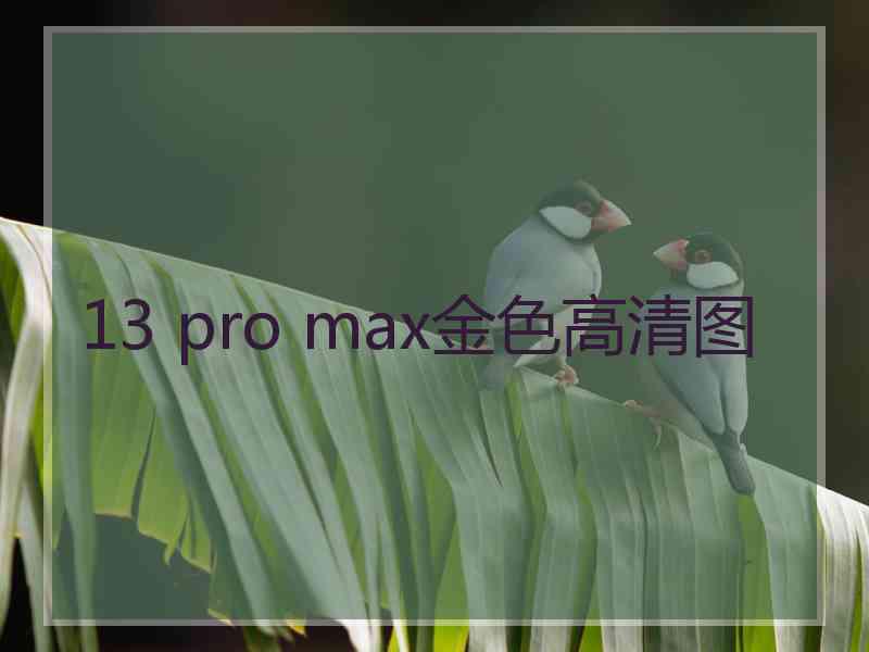 13 pro max金色高清图