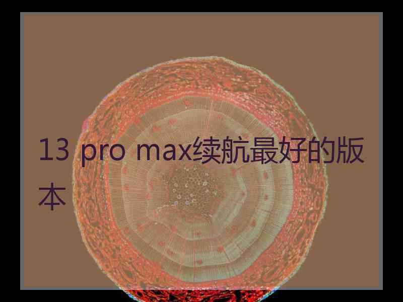 13 pro max续航最好的版本