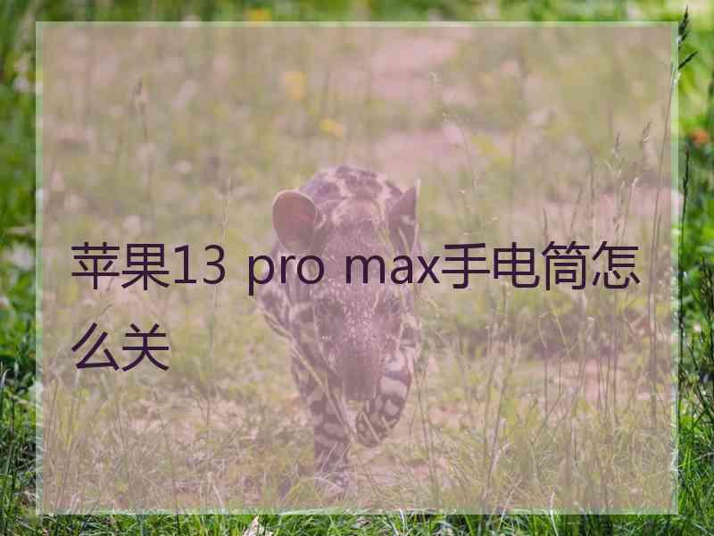 苹果13 pro max手电筒怎么关