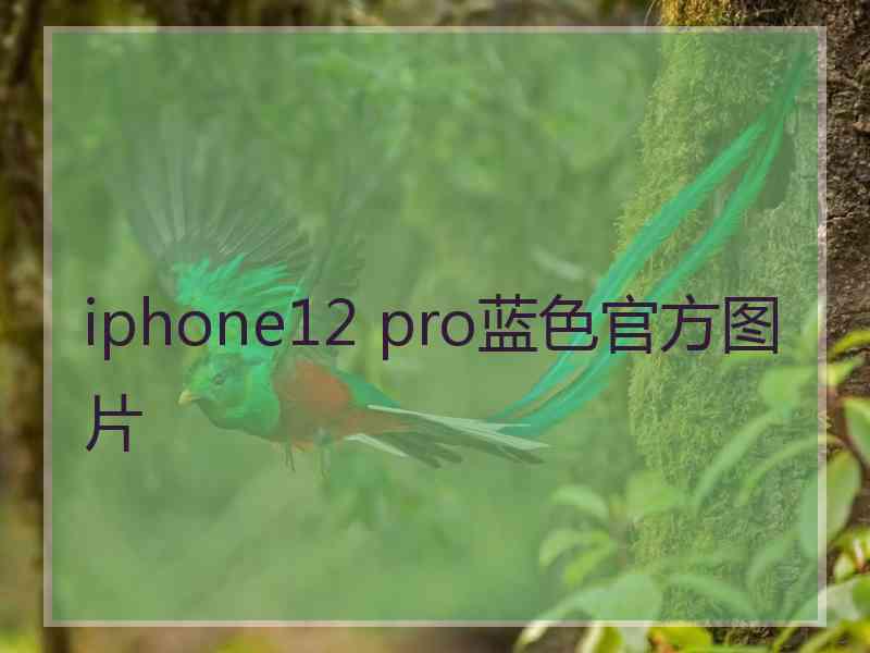 iphone12 pro蓝色官方图片