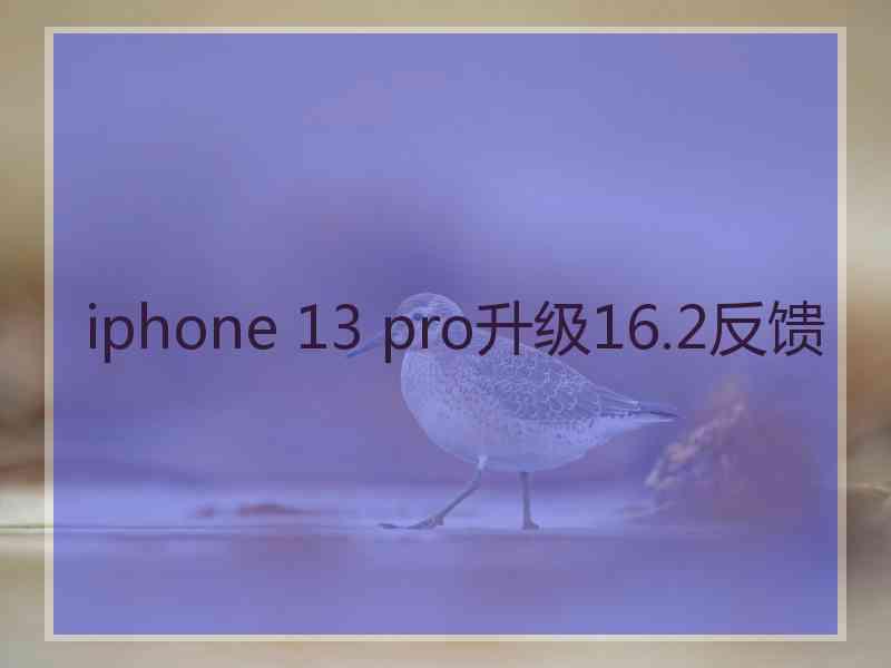 iphone 13 pro升级16.2反馈