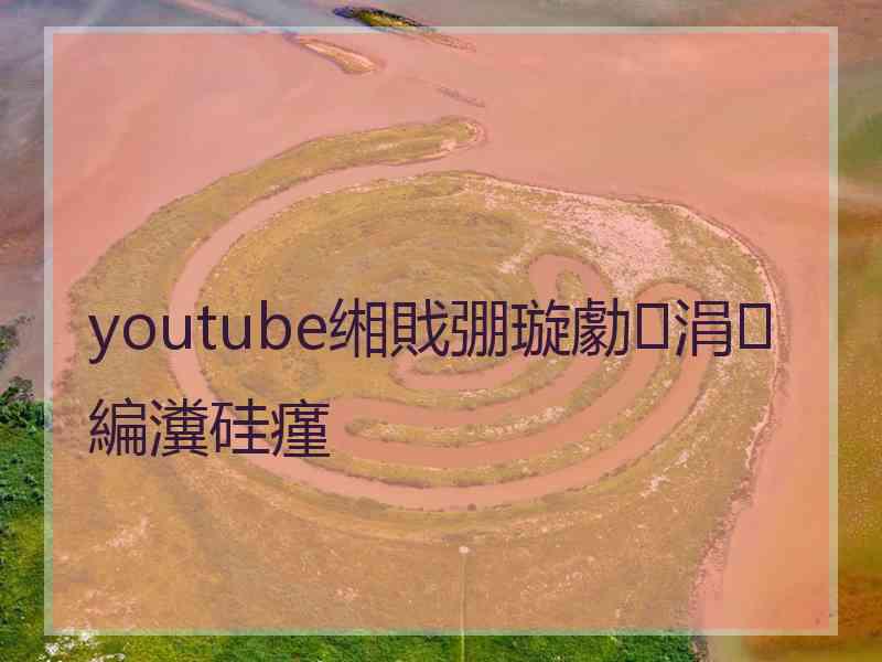 youtube缃戝弸璇勮涓編瀵硅瘽