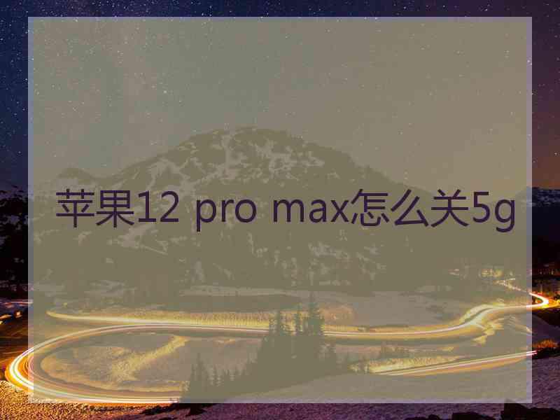 苹果12 pro max怎么关5g