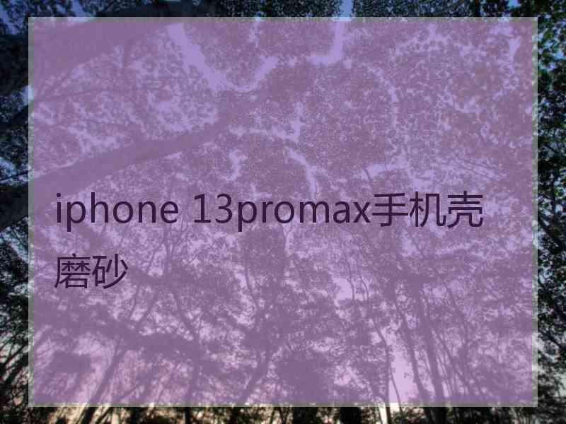 iphone 13promax手机壳磨砂