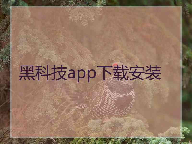 黑科技app下载安装