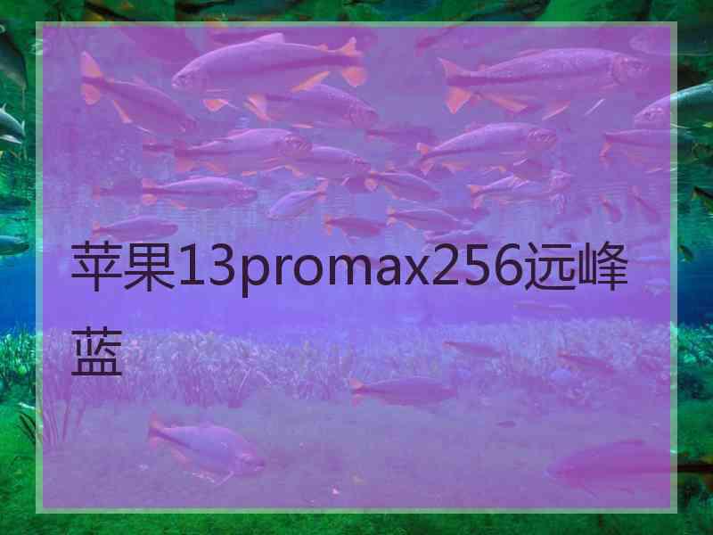 苹果13promax256远峰蓝